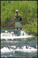 Creek Fishing