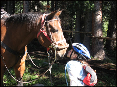 The Majestic West Elk Wilderness